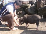 Photo_6_9