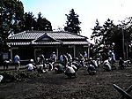 Photo_2