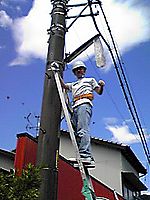 Photo_3