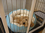 P1010261_2
