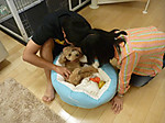 P1010263