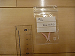 P1010269