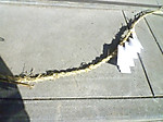P1000831