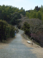 P1010059