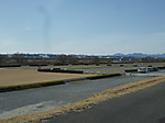 P1010291