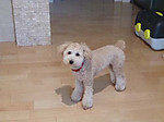 Photo_2