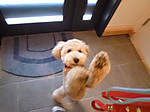 Photo_3