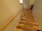 Photo_6