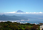 P1010318