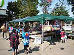 P1010561