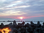 P1020442