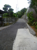 P1000073_768x1024_2