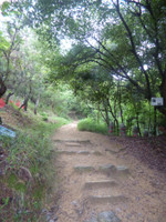 P1000075_768x1024