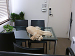 P1000832