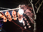 P1000937_2