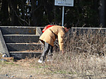 Dsc00309