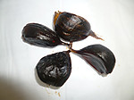 P1020367