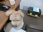 P1020521