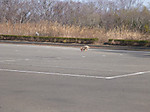 P1020661