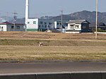P1020678