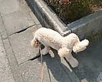 P1030294
