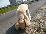 P1030312_2
