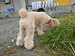 P1010033