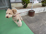 P1010046