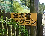P1010301