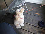 P1010373