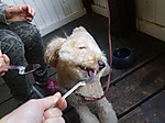 P1010378