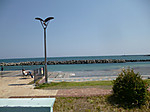 P1000012