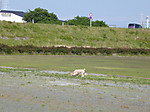 P1010486
