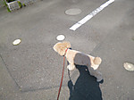 P1010178