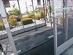 P1010187