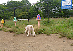 P1010208_2
