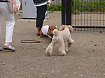 P1010234