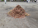 P1010728