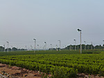 P1010663