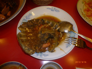 P1020615