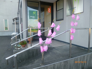 P1020881