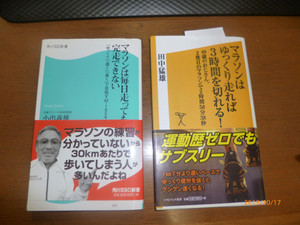 P1030041