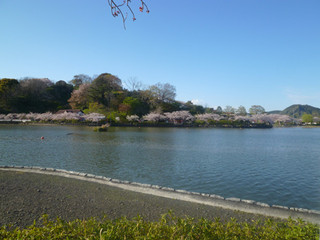 P1010122