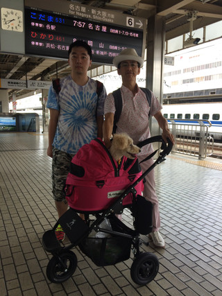 Image_3