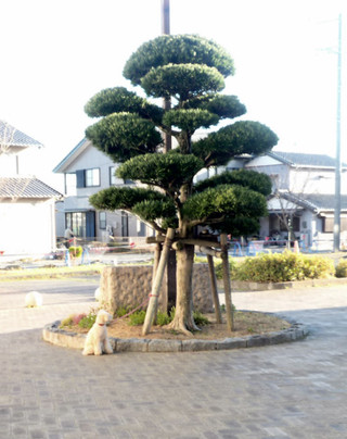 P1050044