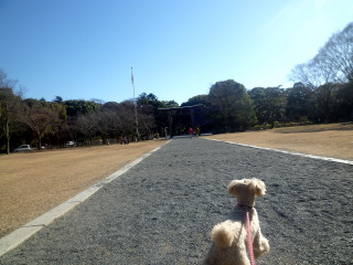 P1050729