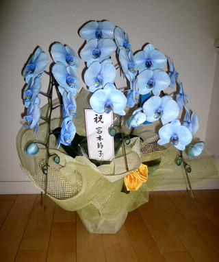 P1000260