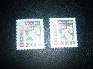 P1010376
