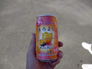 P1000882