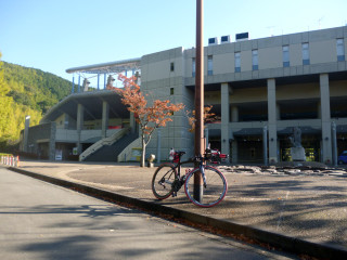 P1010290